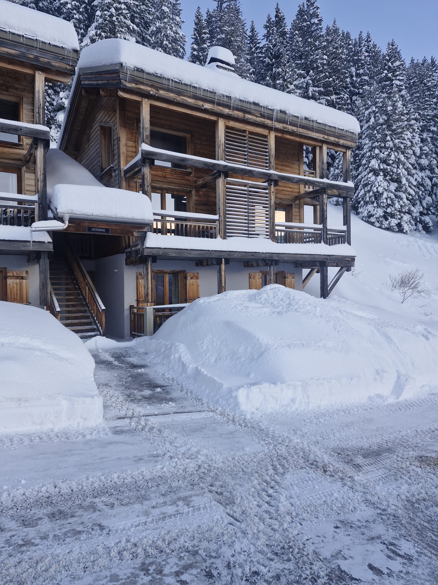 Chalet Flaine